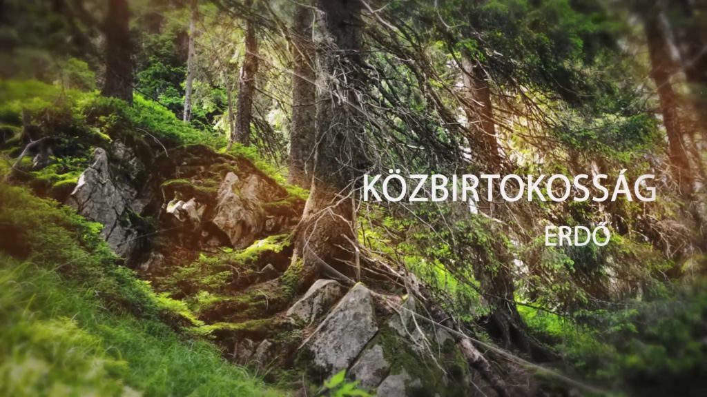 Ditroi kozbirokossag bemutato / prezentare composesoratul Ditrau